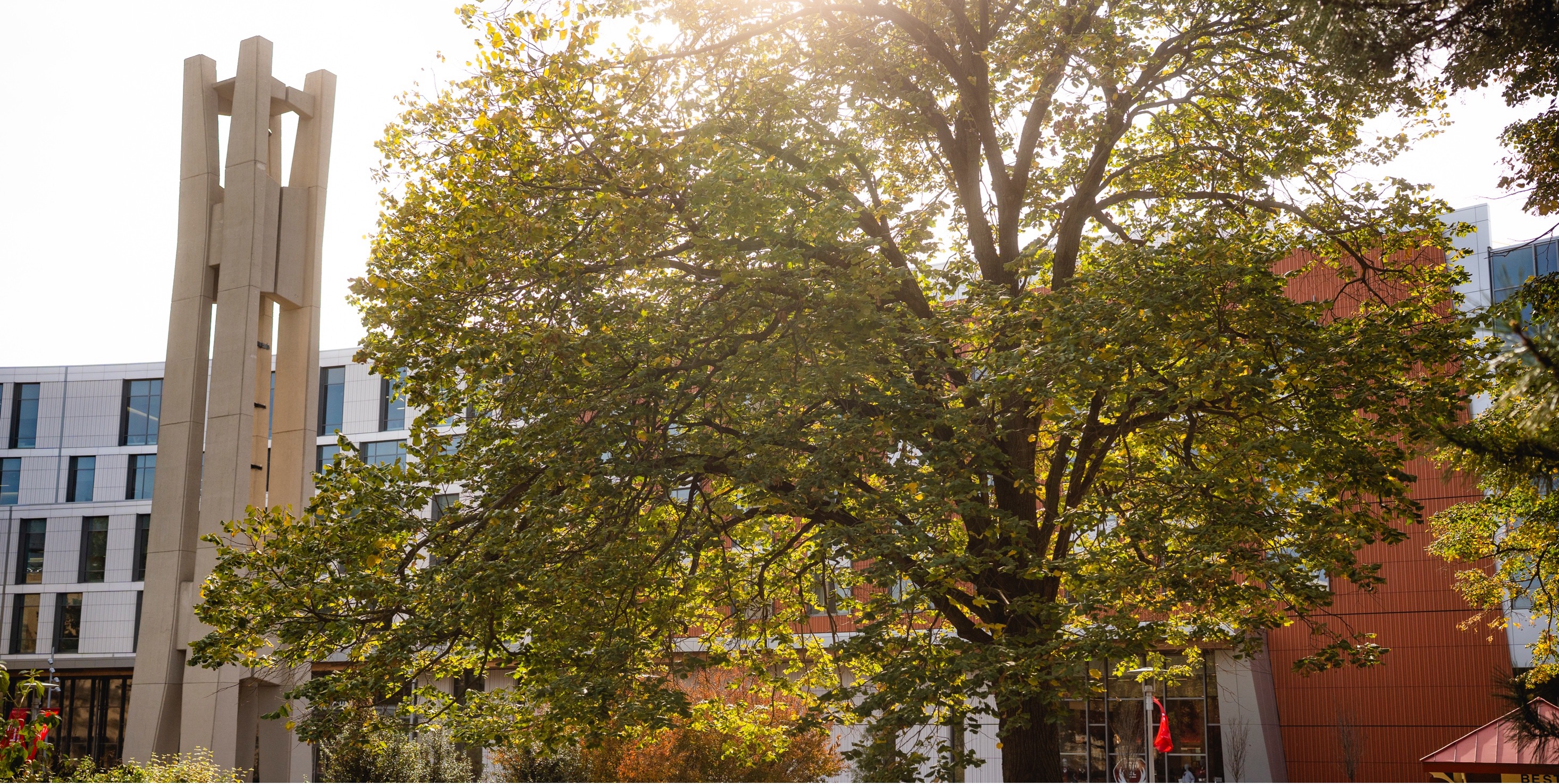 Photo of Paley Hall, Temple University Barnett College of Public Health
